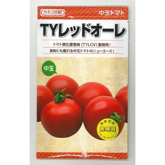 中玉赤なす TYレッドオーレ 1000粒カネコ種苗（株）