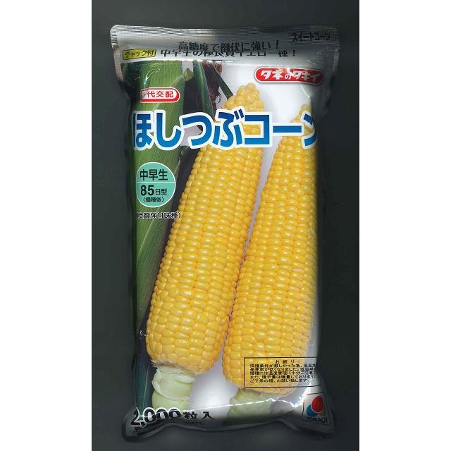 とうもろこし種 ほしつぶコーン 00粒 タキイ種苗 グリーンロフトネモト 通販 Yahoo ショッピング