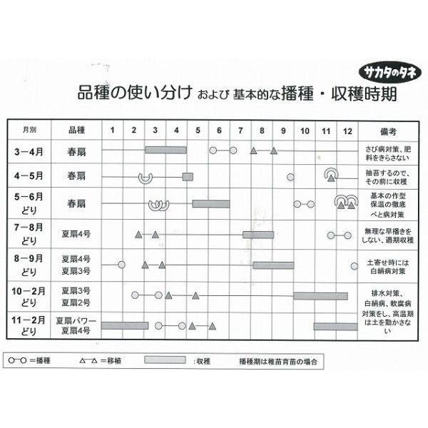 ねぎ 冬扇３号　ペレット種子　6000粒　（株）サカタのタネ｜green-loft｜04