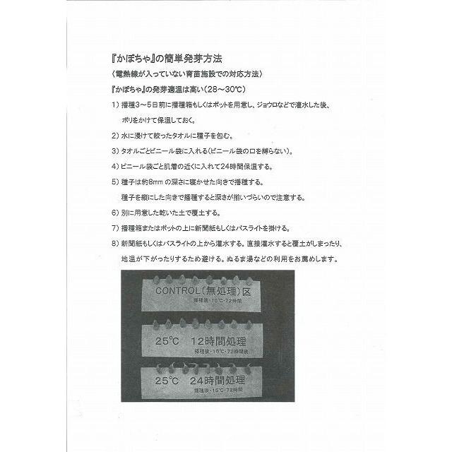 かぼちゃ くりゆたか 500粒 ヴィルモランみかど