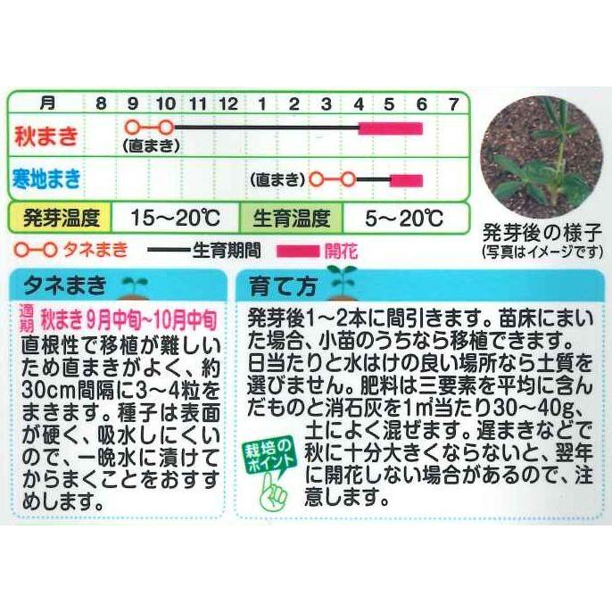 花の種 ルピナス 黄花ルピナス 小袋 タキイ交配 Nl150 グリーンロフトネモト 通販 Yahoo ショッピング