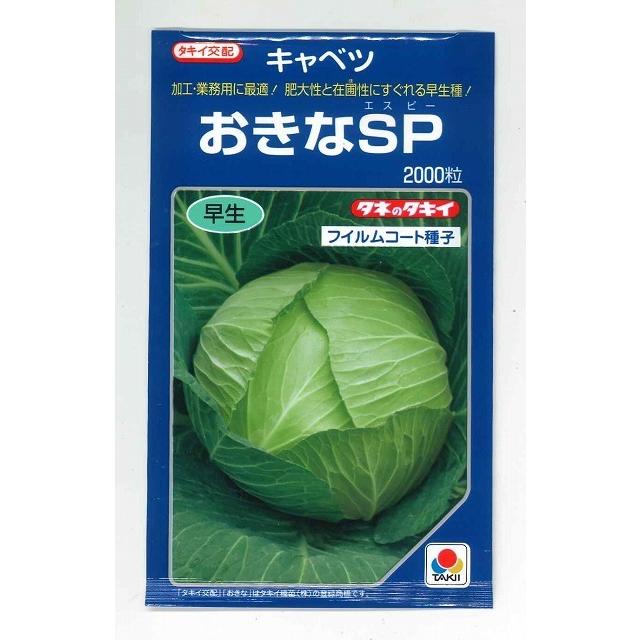 キャベツ　おきなSP　2000粒　タキイ種苗（株）｜green-loft