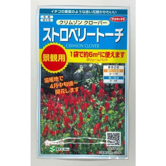 花の種 ストロベリー トーチ クリムゾンクローバー30g サカタのタネ 実咲300 グリーンロフトネモト 通販 Yahoo ショッピング