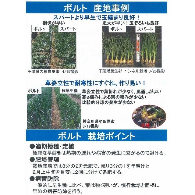 たまねぎ ボルト 2dl タキイ種苗（株） : グリーンロフトネモト - 通販