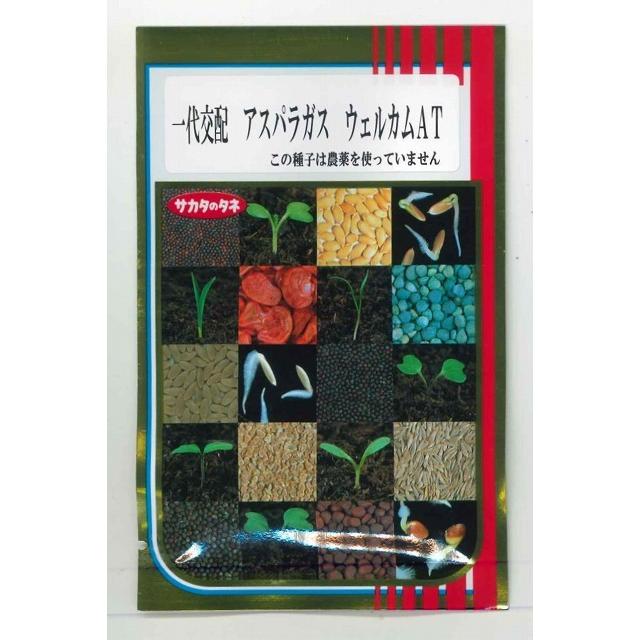 サカタのタネ（サカタノタネ） アスパラガス ウェルカムAT 100粒 （株