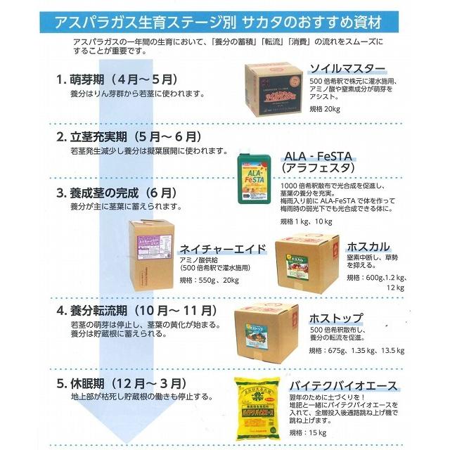 サカタのタネ（サカタノタネ） アスパラガス ウェルカムAT 100粒 （株