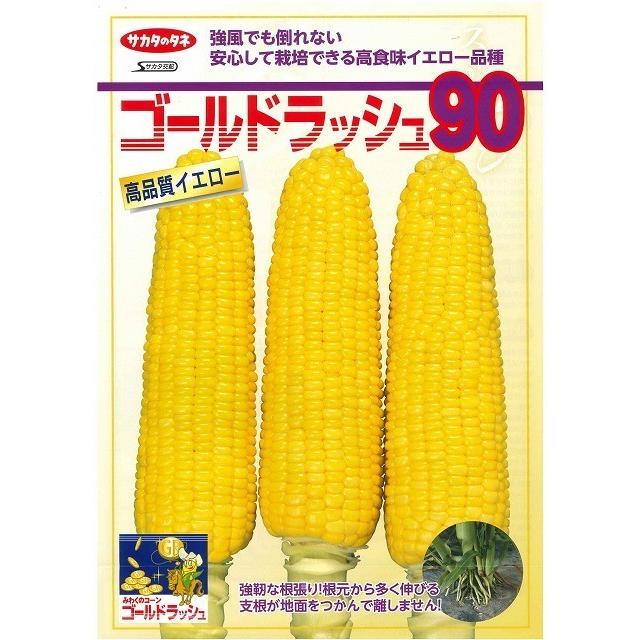 ゴールドラッシュ90 2000粒×10袋　サカタの種　農家　大量 サカタのタネ（サカタノタネ） とうもろこし ゴールドラッシュ90 約55