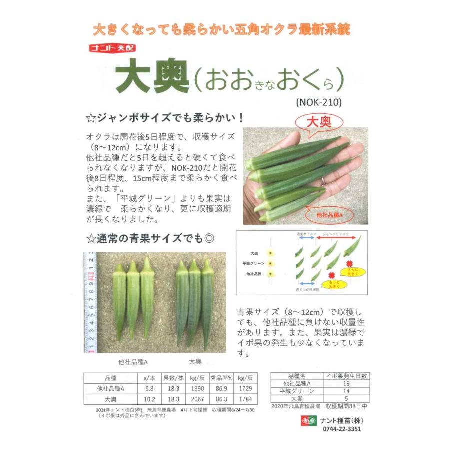 オクラ 大奥 6ml(約60粒) ナント種苗（株） : グリーンロフトネモト