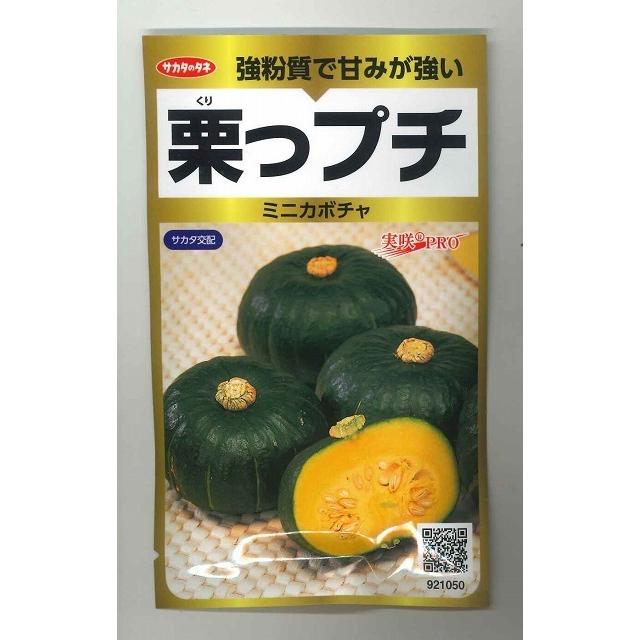 サカタのタネ（サカタノタネ） かぼちゃ 栗っプチ 25粒 （株）サカタの