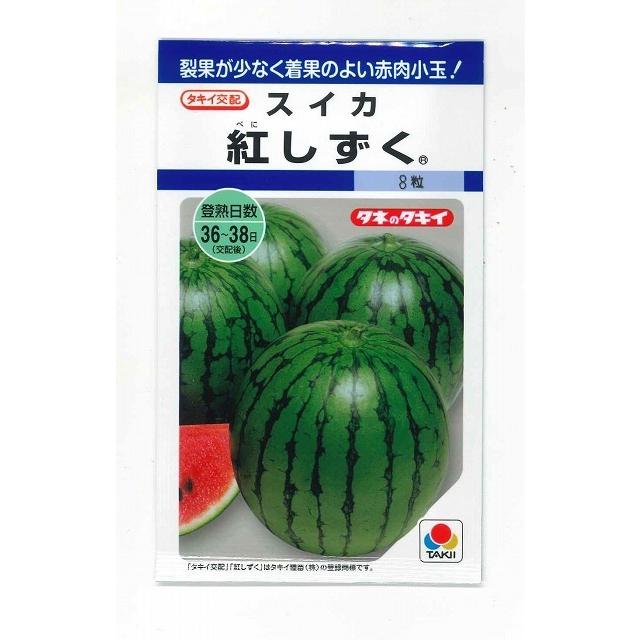 スイカ 紅しずく 8粒 タキイ種苗 （株）DF : グリーンロフトネモト