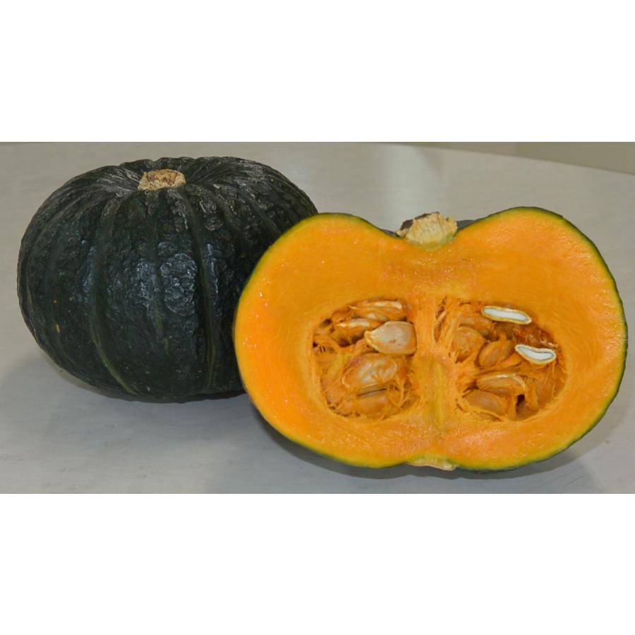 かぼちゃ 栗てまり 8ml(約16粒) 雪印種苗（株） : グリーンロフト