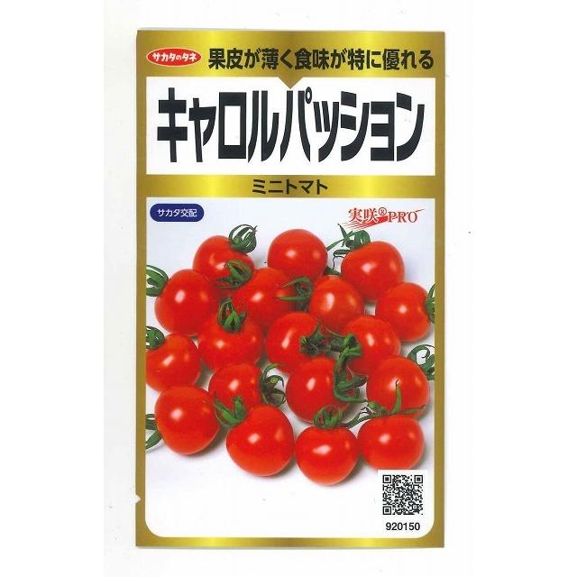 【63%OFF!】 お得な特別割引価格 ミニトマト種 キャロルパッション 40粒 サカタのタネ 実咲PRO