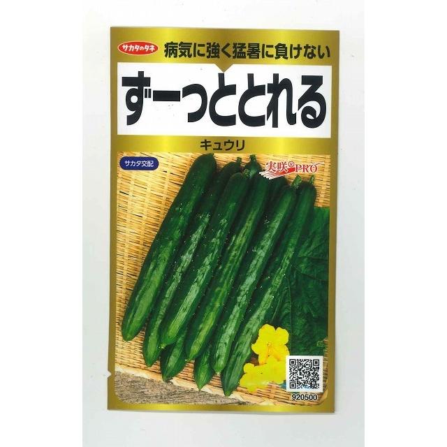 サカタのタネ（サカタノタネ） きゅうり ずーっととれるきゅうり 40粒