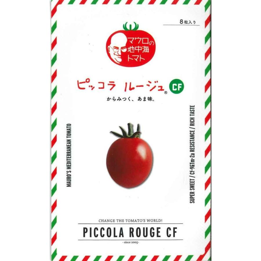ミニトマト ピッコラルージュCF 100粒 サナテックシード（株