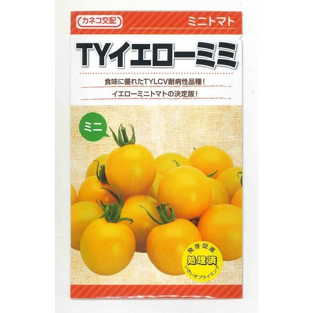 ミニトマト TYイエローミミ 1000粒 カネコ種苗（株） : グリーンロフト