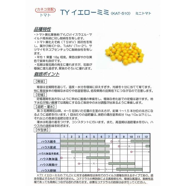ミニ赤なす TY黄色ミミ 1000粒 カネコ種苗（株）