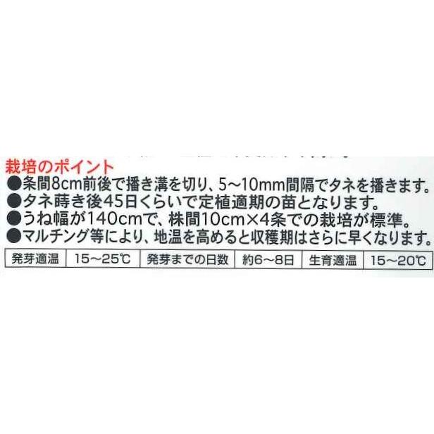 たまねぎ ジェットボール 4ml ナント交配 2728 グリーンロフトネモト 通販 Yahoo ショッピング
