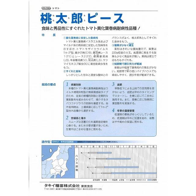 大玉赤なす 桃太郎平和条約 ペレット1000粒 タキイ種苗（株）