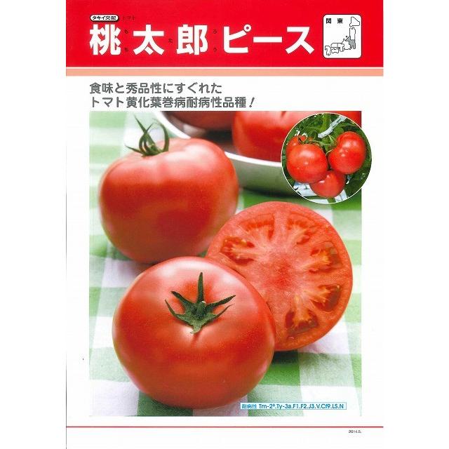 大玉赤なす 桃太郎平和条約 ペレット1000粒 タキイ種苗（株）