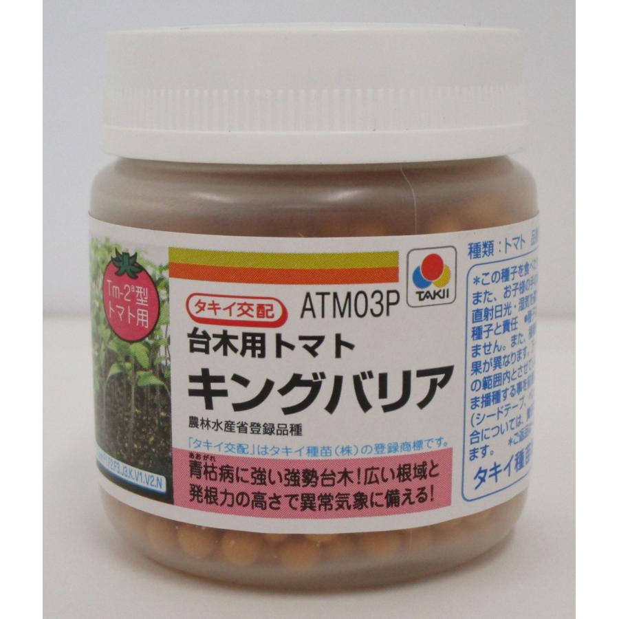 台木(トマト用) キングバリア コート 2L 1000粒 タキイ種苗（株
