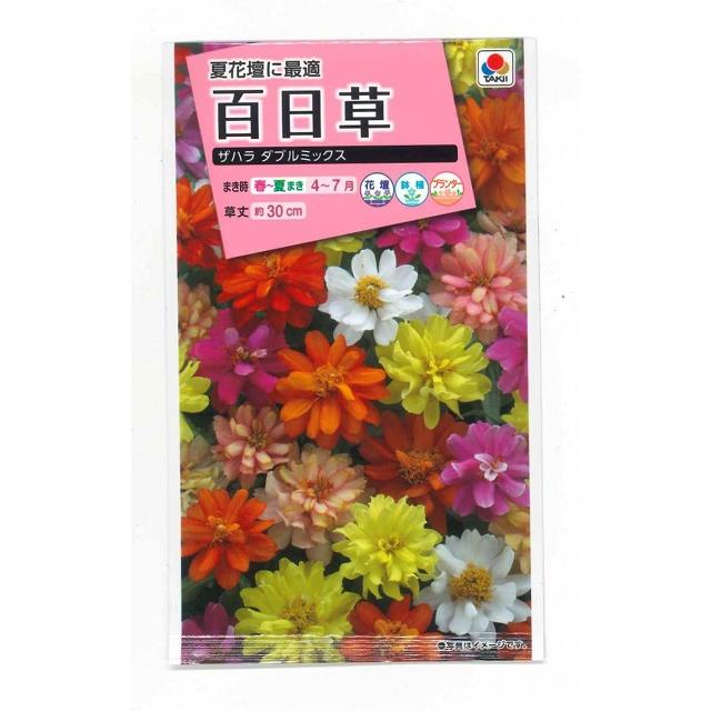 花の種 百日草(ジニア)・ザハラダブル ミックス 小袋 タキイ種苗（株
