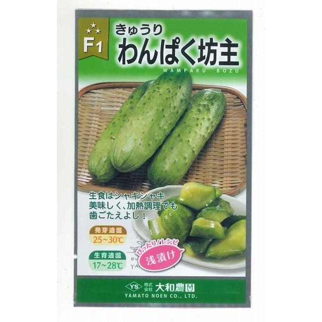 新鮮なきゅうり半白きゅうりフルーツきゅうりわんぱく坊主 10kg 楽天市場】半白 キュウリ 種の通販 
