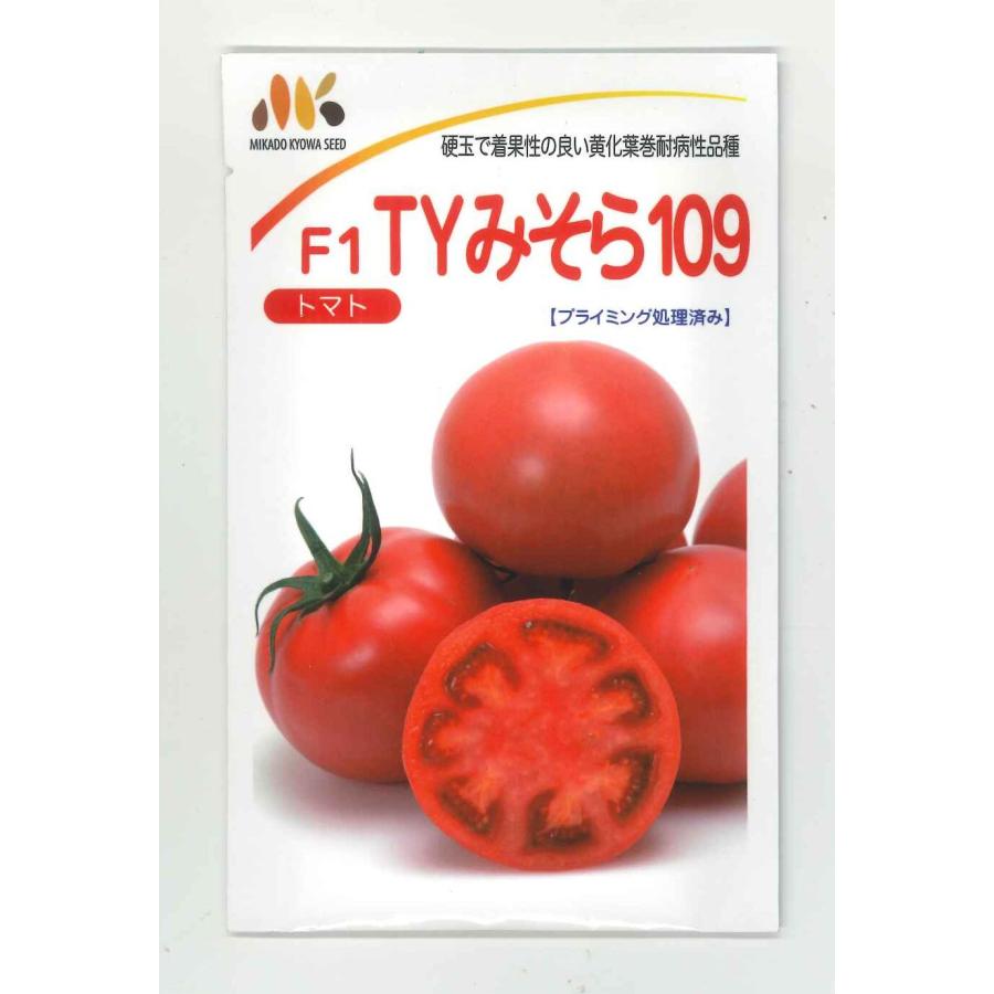 大玉トマト TYみそら109 1000粒 ヴィルモランみかど（株） : グリーン