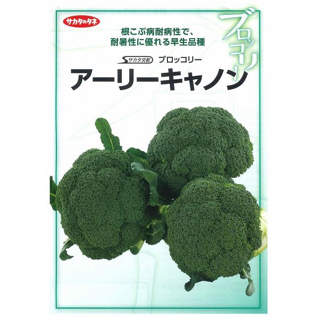 サカタのタネ（サカタノタネ） ブロッコリー アーリーキャノン 2000粒