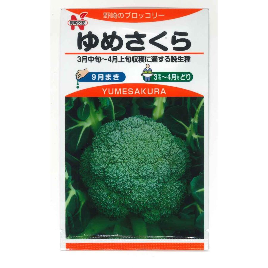 ブロッコリー ゆめさくら 2500粒 野崎採種場 : 2023071302 : グリーン 