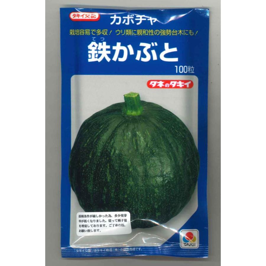 かぼちゃ 鉄かぶと 100粒 (瓜類台木使用可)タキイ種苗（株 