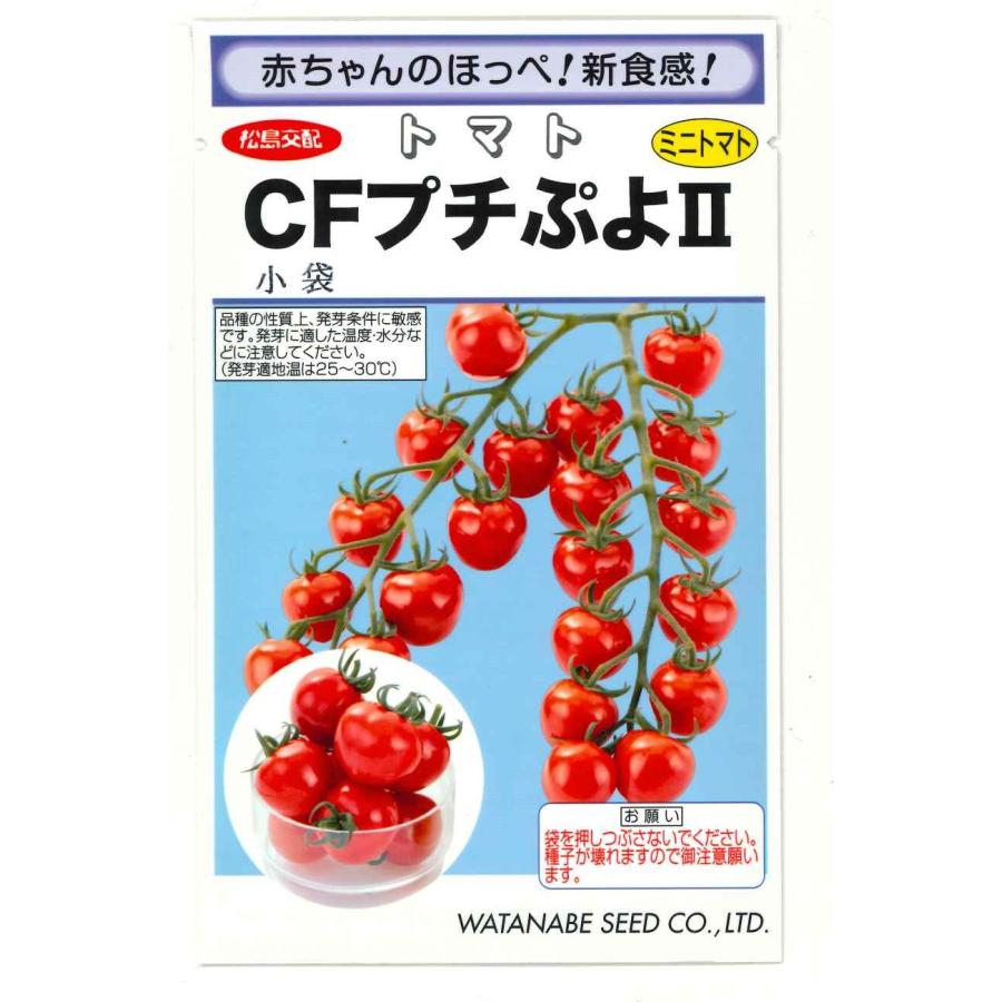 ミニトマト CFプチぷよ2 (100粒)（株）渡辺採種場 : グリーンロフト