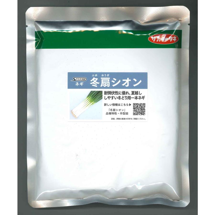 サカタのタネ（サカタノタネ） ねぎ 冬扇シオン ペレット種子 6千粒