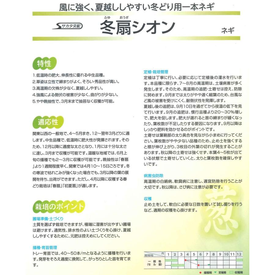 サカタのタネ（サカタノタネ） ねぎ 冬扇シオン ペレット種子 6千粒
