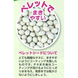 サカタのタネ（サカタノタネ） ねぎ 冬扇シオン ペレット種子 6千粒