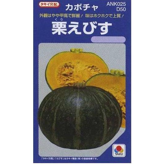 かぼちゃ 栗えびす 100粒 タキイ種苗（株） : グリーンロフトネモト