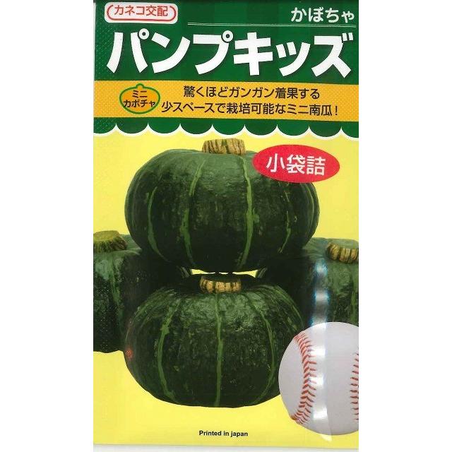 かぼちゃ ミニカボチャ パンプキッズ 9粒 カネコ種苗（株） : グリーン