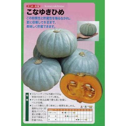 かぼちゃ こなゆきひめ 100粒 ナント種苗 グリーンロフトネモト 通販 Yahoo ショッピング