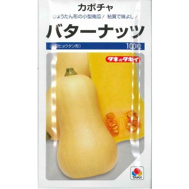 かぼちゃ バターナッツ 100粒 タキイ種苗（株）（Yahoo!・グリーンロフトネモト）