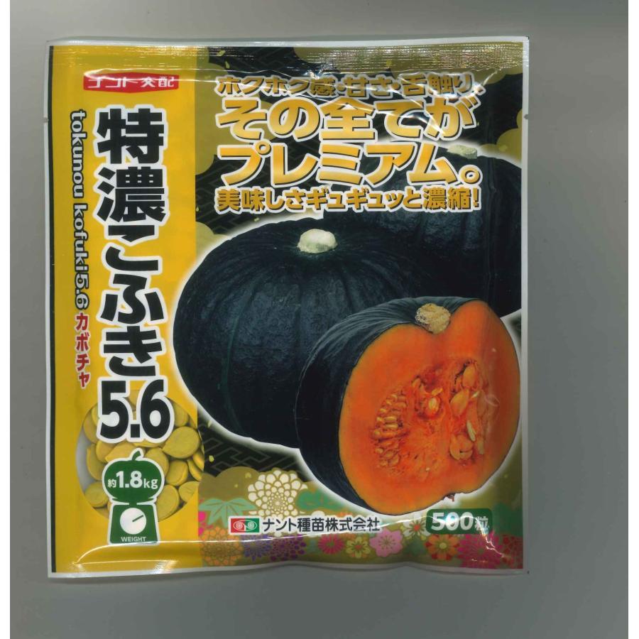 かぼちゃ 特濃こふき5.6 500粒 ナント種苗（株） : グリーンロフト