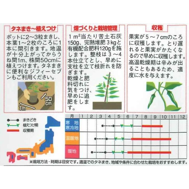 ししとう種 早生シシトウ 翠臣 小袋 実咲 サカタ交配 46 グリーンロフトネモト 通販 Yahoo ショッピング