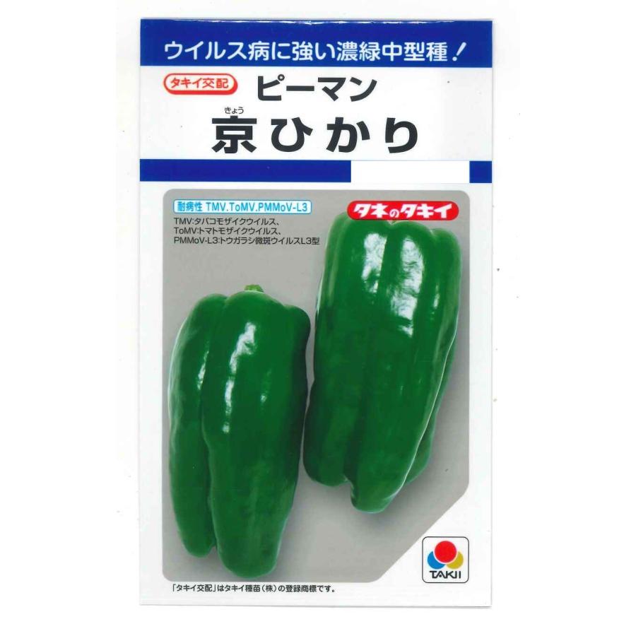 ピーマン 京ひかり 27粒 タキイ種苗 (株) DF : グリーンロフトネモト