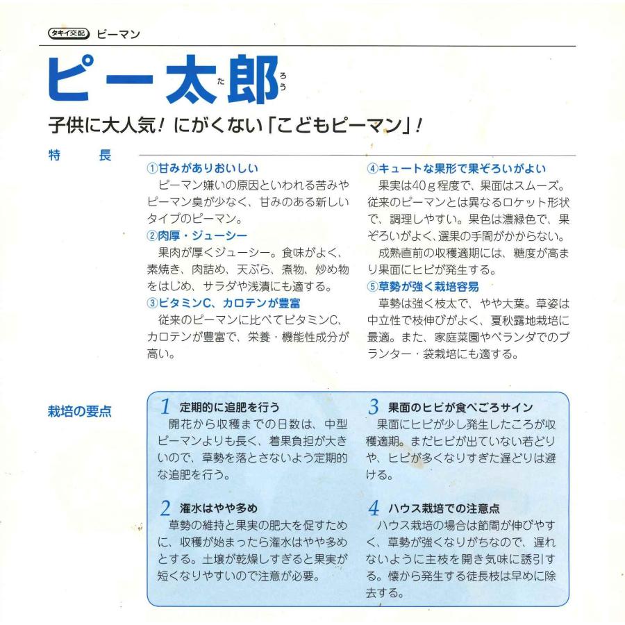 nabe様 リクエスト 2点 まとめ商品 NOBI様 リクエスト 2点 まとめ商品 メルカリの「まとめ買い機能」で