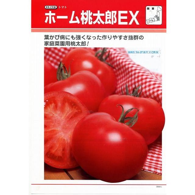 堅実な究極の トマト ホーム桃太郎EX 1000粒 タキイ種苗 ガーデニング 