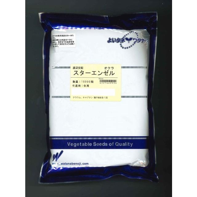 オクラ スターエンゼル 1万粒 渡辺農事（株）