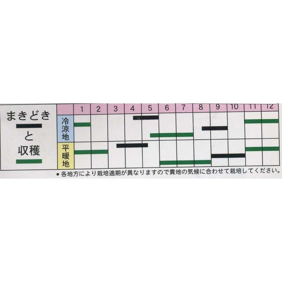 牛蒡 大浦太 1L 丸種（株）の画像