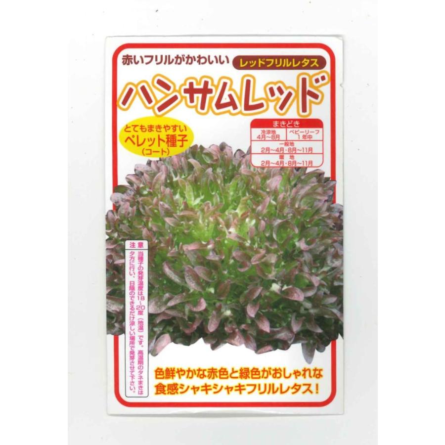 レタス　ハンサムレッド　100粒　横浜植木（株）｜green-loft