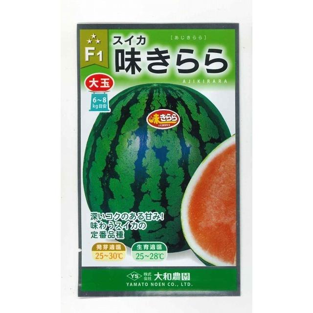 スイカ 味きらら西瓜 8粒 大和農園 2113 グリーンロフトネモト 通販 Yahoo ショッピング