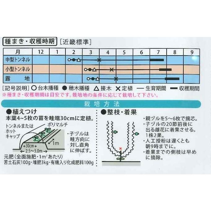 スイカ 縞王西瓜 8粒 大和農園 2114 グリーンロフトネモト 通販 Yahoo ショッピング