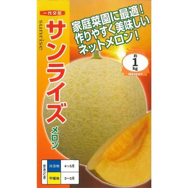 メロン サンライズ 6粒 ナント種苗（株） : グリーンロフトネモト