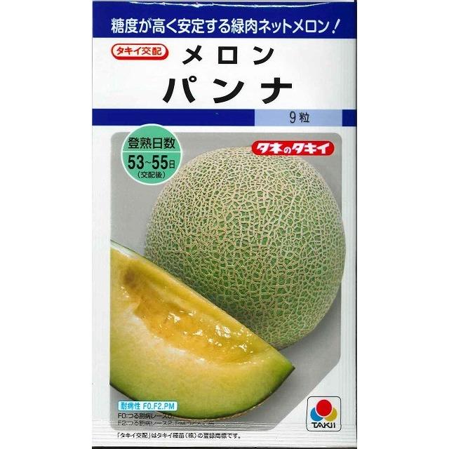 メロン パンナ 8粒 タキイ種苗（株） DF : グリーンロフトネモト